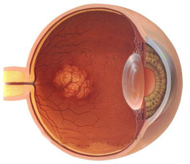 Eye Illustration